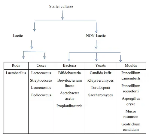 Classification /Taxonomic Groups as Per Bergey’s ManualIntroduction