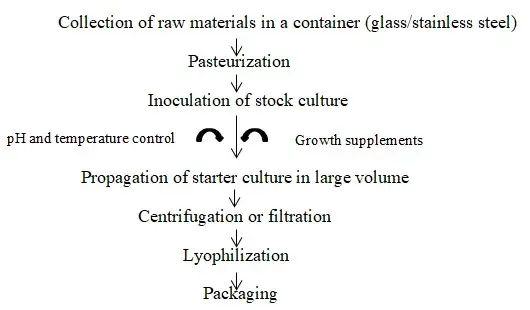 Starter Culture Preparation 