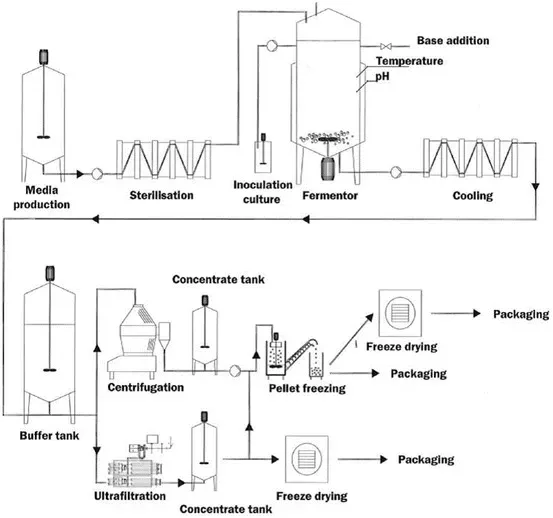 Commercial preparation of starter culture Source: Ravindra P (2015)