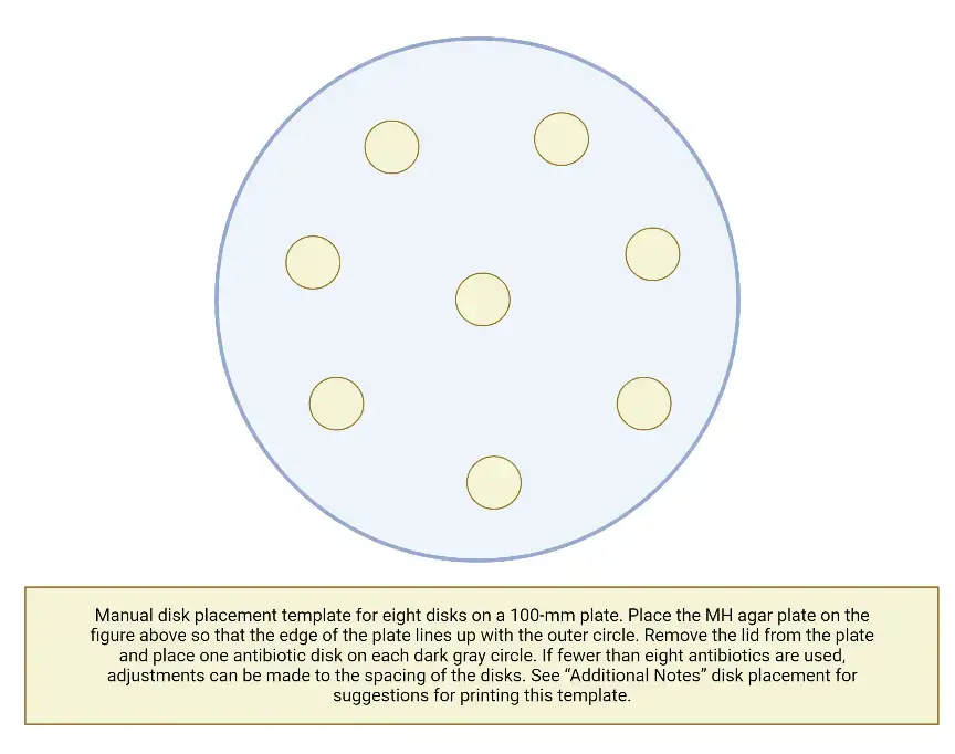 Kirby Bauer Disk Diffusion Susceptibility Test Protocol