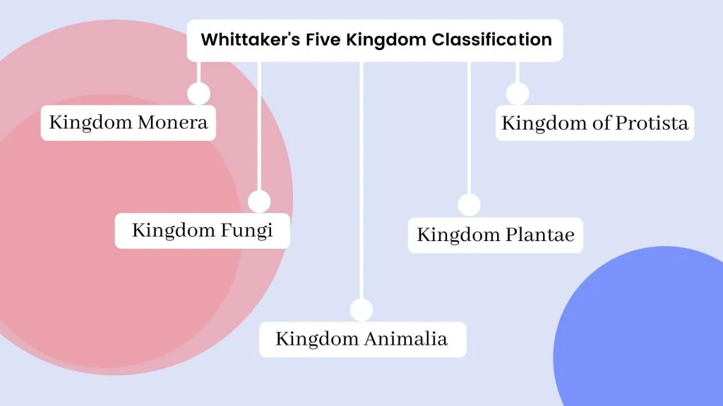 Whittaker’s Five Kingdom Classification – Five Kingdom Classification Chart