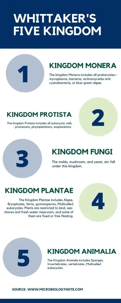 Whittaker’s Five Kingdom Classification