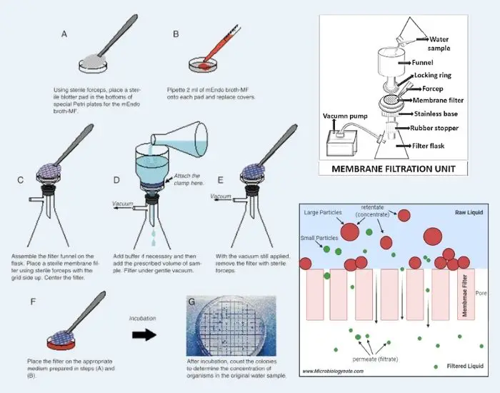 Membrane Filtration Method, Types, Advantages, Disadvantages, Applications.