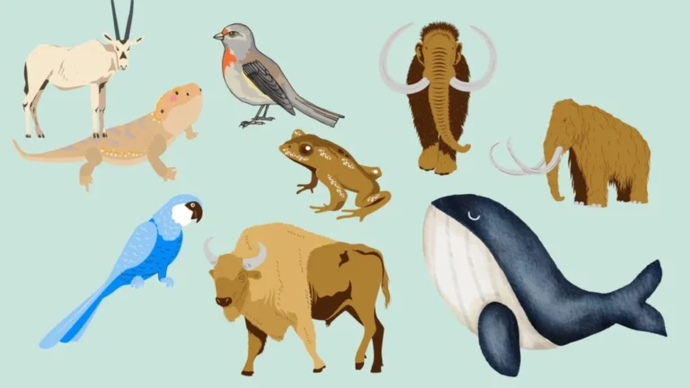 Scope of Zoology