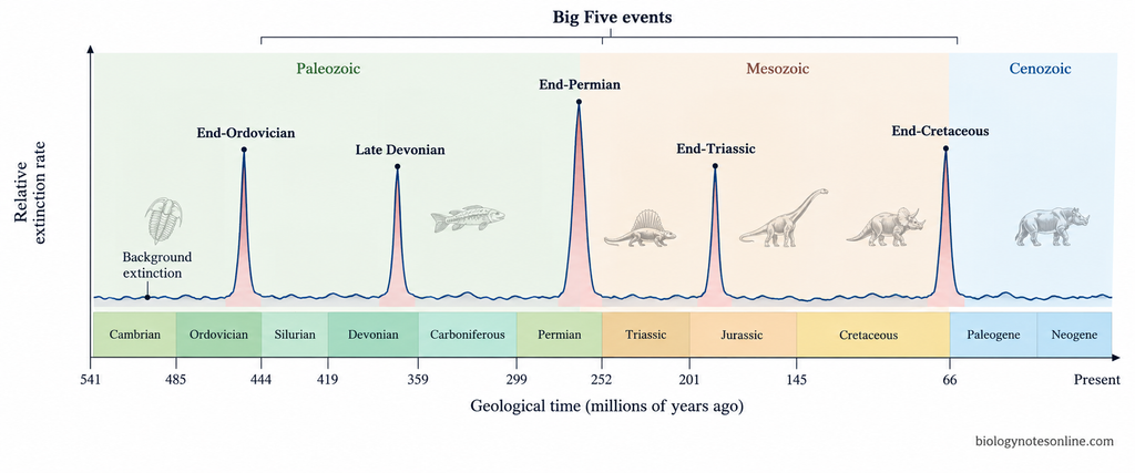 Geological timeline showing a low background extinction rate interrupted by five major extinction-rate spikes corresponding to the Big Five mass-extinction events.