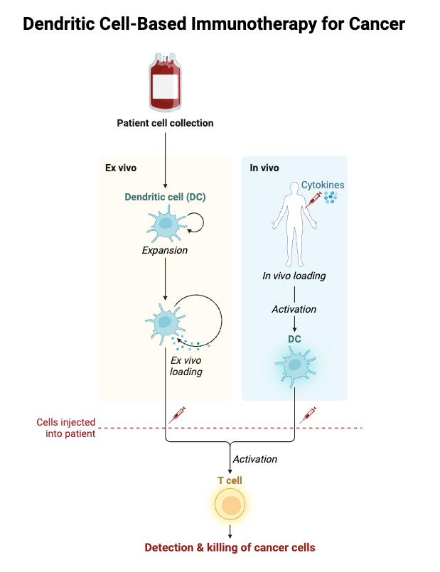 Dendritic Cell-Based Immunotherapy for Cancer