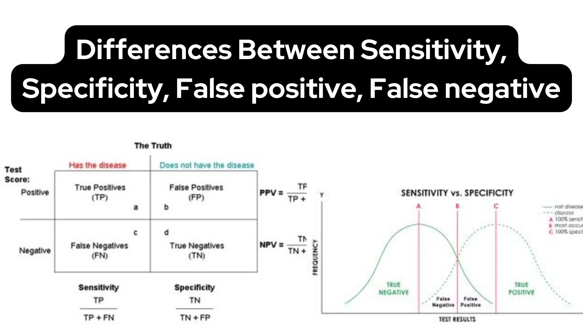 Differences Between Sensitivity, Specificity, False positive, False negative