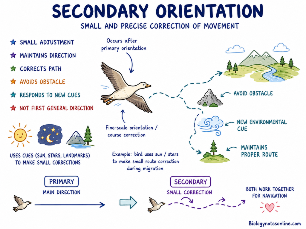 Orientation Patterns of Behaviour - Types, Importance, Examples 2 Secondary Orientation Diagram