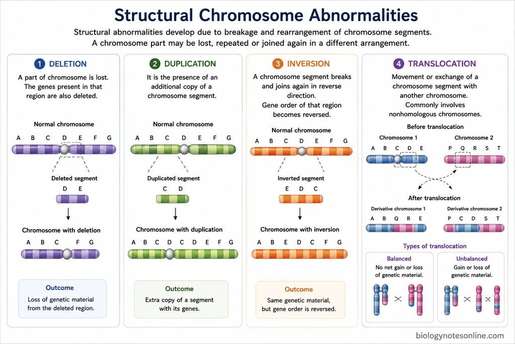Diagram showing Structural Chromosome Abnormalities