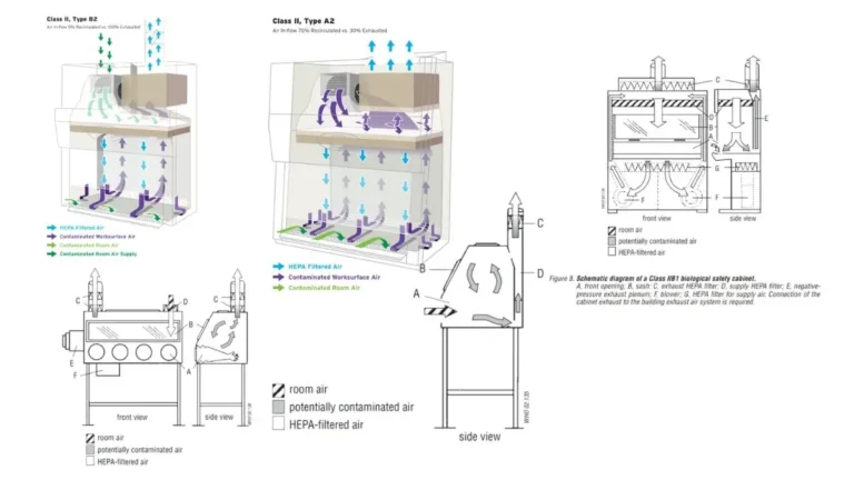 Biosafety Cabinet: Definition, Classification (Class I, II, III), Working Mechanism, Application, Features.