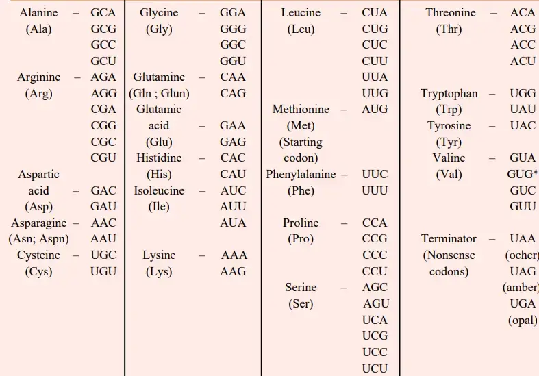 Amino acids and their messenger RNA codons
