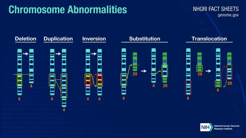 Chromosome Abnormalities - Types, Mechanism, Detection - Biology Notes ...