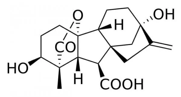 Gibberellin Structure