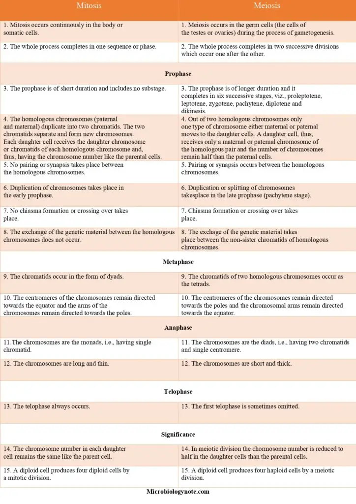 Comparison/Difference Between Mitosis And Meiosis
