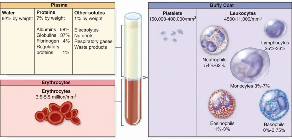 Composition of whole blood. 