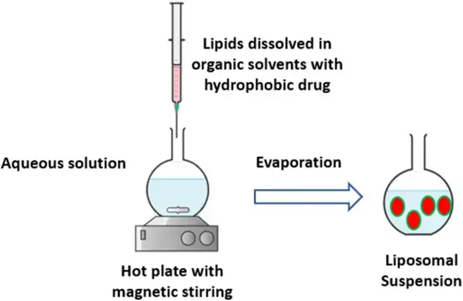 Schematic representation of injection methods method.
