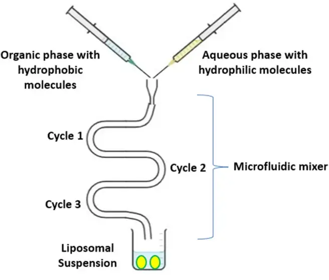 Schematic representation of injection methods method.
