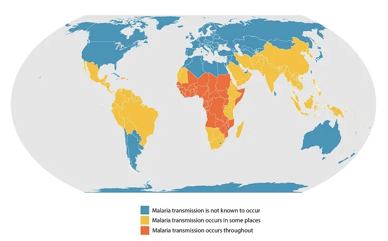 This map shows an approximation of the parts of the world where malaria transmission occurs. 