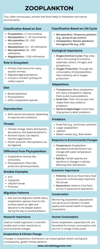 Zooplankton Infograph
