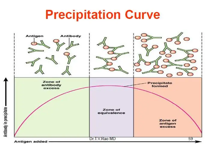 Prozone phenomenon