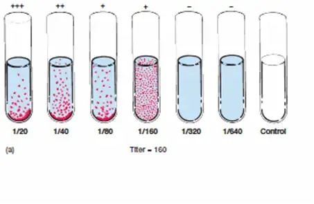 Tube Agglutination