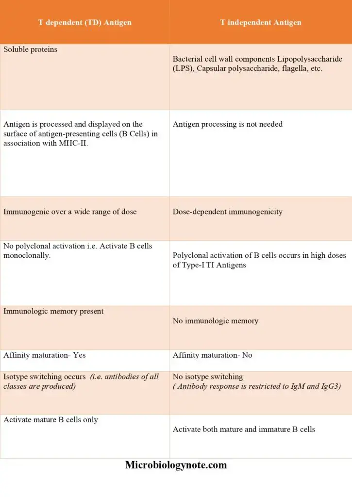 Difference between T dependent Antigen and T independent Antigen
