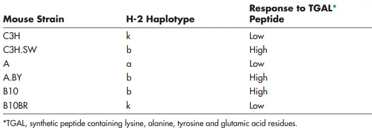 MHC Haplotype Correlated with Immune Responsiveness