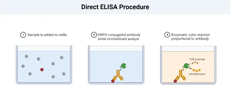 Direct ELISA Test