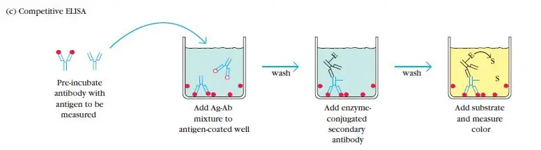 Competition/Inhibition ELISA