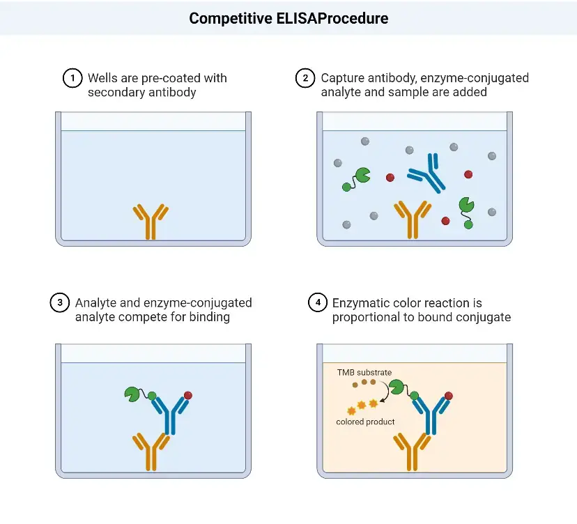 Competitive ELISA Procedure
