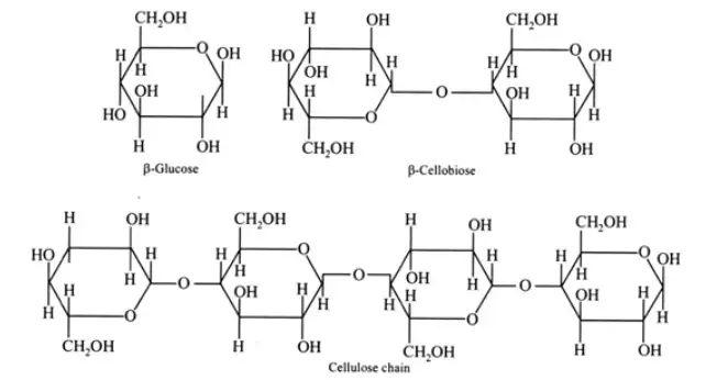 Cellulosic Materials