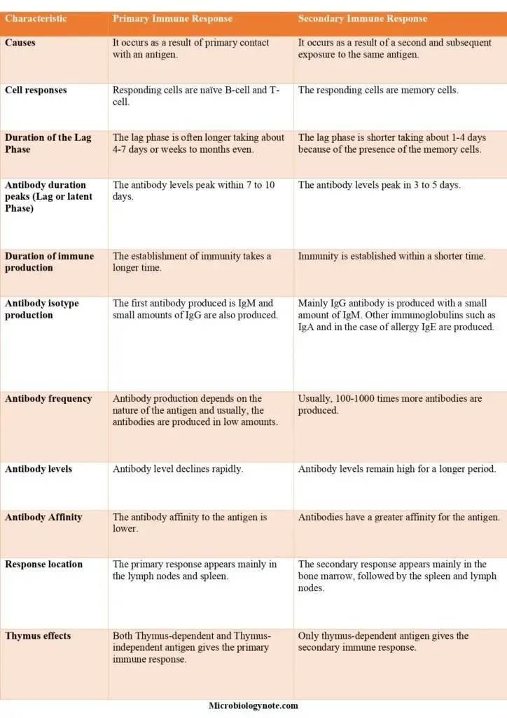 Primary and Secondary Immune Response 7 Difference Between Primary Immune Response and Secondary Immune Response