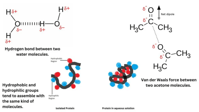 Active Site For Enzymes - Definition, Features, Mechanism, Example