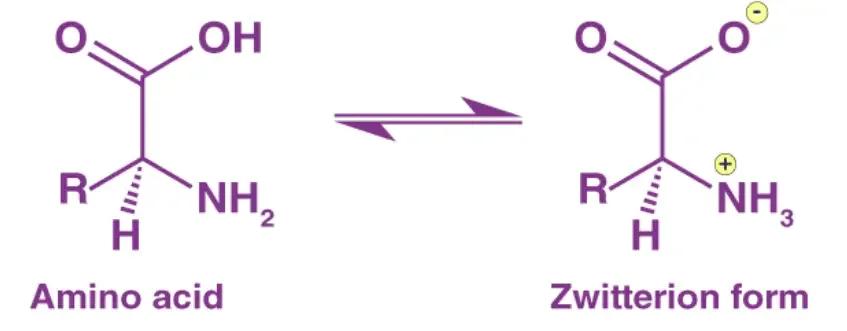 Zwitterion
