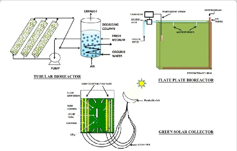 Schematic diagram of Algae Bioreactor