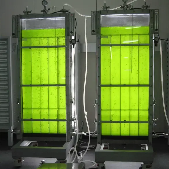 Plate Photobioreactor
