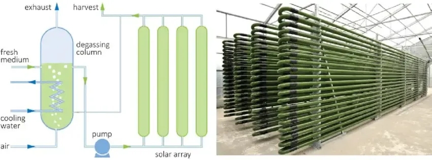 Tubular Photobioreactor
