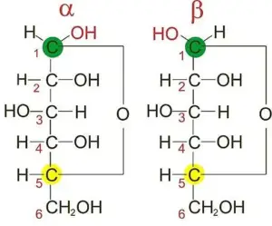 Epimers - Definition, Characteristics, Examples - Biology Notes Online