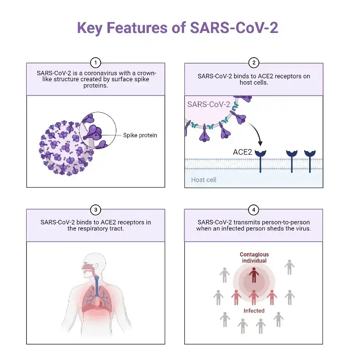 Key Features of SARS-CoV-2
