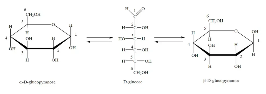 Overview of Anomer Of Glucose
