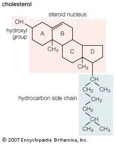 The structure of Cholesterol. Source: Britannica.