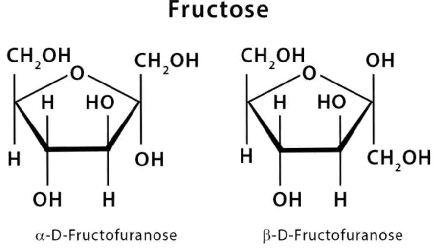 Haworth Projection Fructose