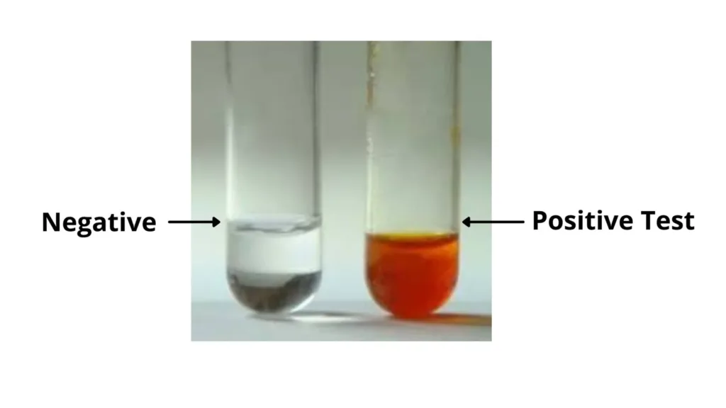 Result of Xanthoproteic Test
