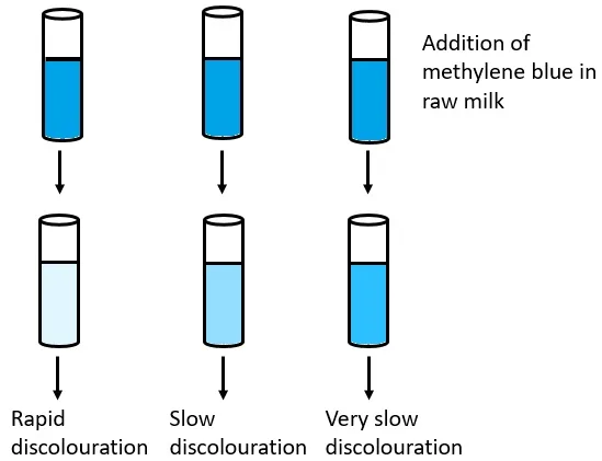 Methylene Blue Reduction Test

