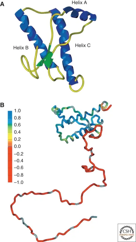 Structures of PrPC