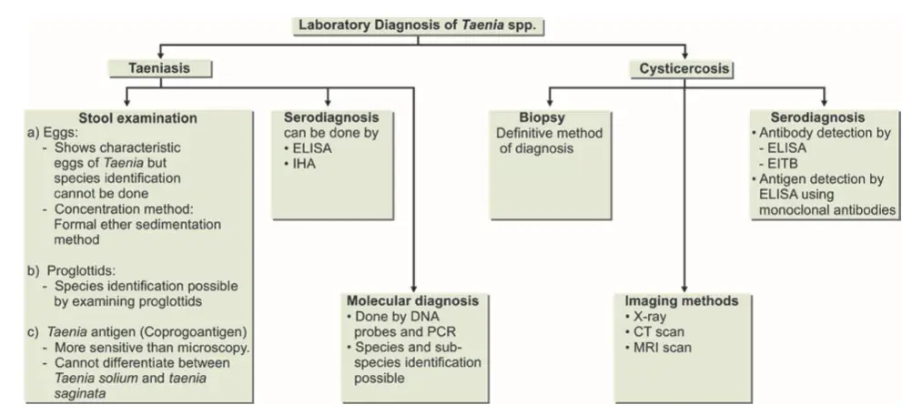 Laboratory Diagnosis