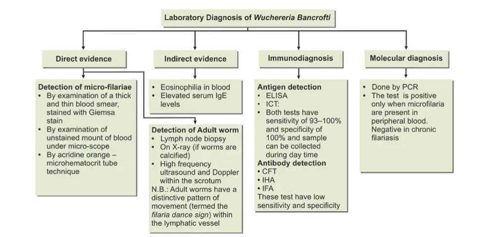 Laboratory Diagnosis of Wuchereria bancrofti 