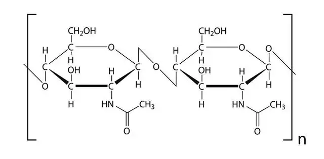 The structure of repeating units of chitin.