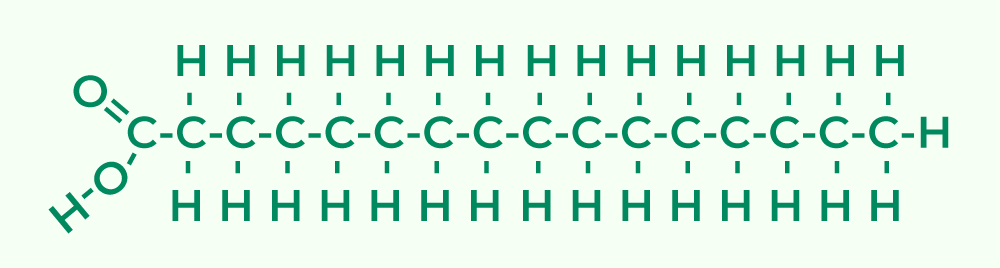 Structure of Lipids