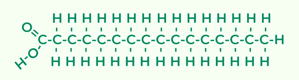 Biological Macromolecules - Types, Structure, Functions, Examples 2 Structure of Lipids
